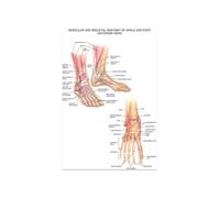 Supkan ffiche Imprime Analyse du Corps Humain Acupuncture Science médecine Mur Art Photos Toile Peinture for Salon Maison Chambre décoration(7,13X18cm Unframed)