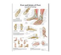 Supkan ffiche Imprime Analyse du Corps Humain Acupuncture Science médecine Mur Art Photos Toile Peinture for Salon Maison Chambre décoration(1,13X18cm Unframed)