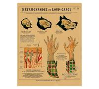 Supkan natomie de la sirène Affiche Oiseau créatures curieuses Papier Kraft Imprime Vintage Maison Chambre café Bar Art décoration Murale Peinture esthétique(5,A4 8.3x11.8inch)