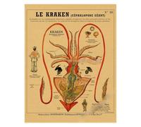 Supkan natomie de la sirène Affiche Oiseau créatures curieuses Papier Kraft Imprime Vintage Maison Chambre café Bar Art décoration Murale Peinture esthétique(3,A4 8.3x11.8inch)