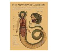 Supkan natomie de la sirène Affiche Oiseau créatures curieuses Papier Kraft Imprime Vintage Maison Chambre café Bar Art décoration Murale Peinture esthétique(16,A4 8.3x11.8inch)