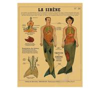 Supkan natomie de la sirène Affiche Oiseau créatures curieuses Papier Kraft Imprime Vintage Maison Chambre café Bar Art décoration Murale Peinture esthétique(1,A4 8.3x11.8inch)