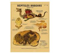 Supkan natomie de la sirène Affiche Oiseau créatures curieuses Papier Kraft Imprime Vintage Maison Chambre café Bar Art décoration Murale Peinture esthétique(11,A4 8.3x11.8inch)