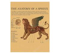 Supkan natomie de la sirène Affiche Oiseau créatures curieuses Papier Kraft Imprime Vintage Maison Chambre café Bar Art décoration Murale Peinture esthétique(15,A3 16.5x11.8inch)