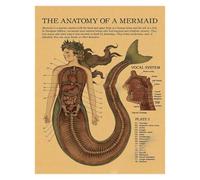 Supkan natomie de la sirène Affiche Oiseau créatures curieuses Papier Kraft Imprime Vintage Maison Chambre café Bar Art décoration Murale Peinture esthétique(17,A3 16.5x11.8inch)