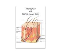 Supkan natomie éducative la Peau Humaine collège Art médical Toile Peinture Affiches Imprime Mur Photo Bureau Clinique décor à Maison(10x15cm Unframed)