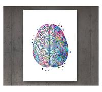Supkan natomie et physiologie la Structure du Corps Affiche rétro Autocollant Vintage Chambre décor médical Art Peinture Affiches Toile(1,30cmX42cmA3 No Frame)