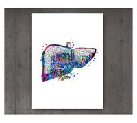 Supkan natomie et physiologie la Structure du Corps Affiche rétro Autocollant Vintage Chambre décor médical Art Peinture Affiches Toile(2,21cmX30cmA4 No Frame)