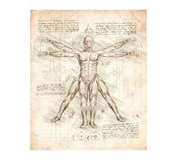 Supkan natomie et physiologie la Structure du Corps Affiche rétro Chambre décor médical Art Mur Bar café Maison Toile Peinture(5,30x42cmA3 No Frame)