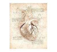 Supkan natomie et physiologie la Structure du Corps Affiche rétro Chambre décor médical Art Mur Bar café Maison Toile Peinture(2,30x42cmA3 No Frame)