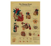 Supkan natomie et physiologie la Structure du Corps Squelette Impression médicale Affiche Peinture Papier Kraft Vintage Salon Maison décoration Murale(10,30x42cm)