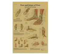 Supkan natomie et physiologie la Structure du Corps Squelette Impression médicale Affiche Peinture Papier Kraft Vintage Salon Maison décoration Murale(8,21x30cm)