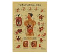 Supkan natomie et physiologie l'affiche de Structure corporelle Squelette rétro Kraft Paper Sticker Vintage Room Medical Decor Art Wall(14,A3)