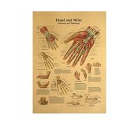 Supkan natomie Humaine Affiche Structure du Corps Squelette système nerveux Vintage Stickers muraux Papier Kraft décor Peinture(Type9)