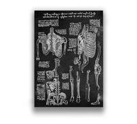 Supkan natomie Humaine Anatomie médicale Science Vintage Affiches Art Toile Impression médecin Clinique Mur décor Photos Peinture(12,A3 30x42cm NO Frame)