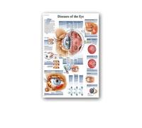 Supkan natomie Humaine Muscles système Affiche Mur Art Soie Peinture Corps Carte Photos for l'éducation médicale Clinique décoration(1,30x40cm No Frame)