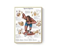 Supkan natomie Humaine Muscles système Art Affiche Impression Corps Carte Toile Mur Photos for Science médecine Chambre décor(DM395-9,30X40cm Unframed)