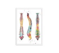 Supkan natomie Humaine Muscles système Mur Art Toile Peinture Affiches et Impressions Corps Carte Photos éducation médicale Clinique décor(2,30X45cm Unframed)