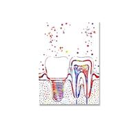 Supkan natomie Humaine Muscles système Mur Art Toile Peinture Affiches et Impressions Corps Carte Photos éducation médicale Clinique décor(9,50X70cm Unframed)