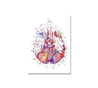 Supkan natomie Humaine Muscles système Mur Art Toile Peinture Affiches et Impressions Corps Carte Photos éducation médicale Clinique décor(14,100X140cm Unframed)