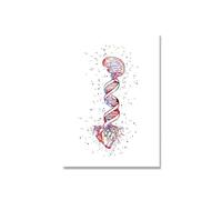 Supkan natomie Humaine Muscles système Mur Art Toile Peinture Affiches et Impressions Corps Carte Photos éducation médicale Clinique décor(3,90X130cm Unframed)