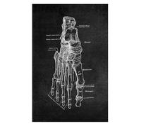 Supkan natomie Humaine oeuvre médicale Impression Mur Photo Squelette Orgue Muscle rétro Noir Blanc Affiche Corps éducation Toile Peinture(14,30x40cm Canvas)