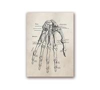 Supkan natomie Humaine Science Vintage Affiches Art Imprime Anatomie médicale Toile Peinture médecin Clinique Mur Photos décor(15,30x40 cm No Frame)