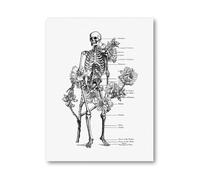 Supkan natomie Humaine Squelette Affiche Médicale Noir Blanc Impressions sur Toile Botanique Fleur Vintage Mur Art Peinture Photo Clinique Décor(13x18 cm No Frame)