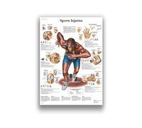 Supkan natomie Humaine Système Musculaire Art Toile Peinture, Image d'art Corporel Et Affiche Décoration Éducation À La Médecine Familiale, sans Cadre(12,60X80cm Unframed)