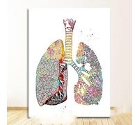 Supkan natomie Humaine système Musculaire Figure éducation médicale Art Affiche Toile Peinture Mur Imprime Photo Maison Bureau Chambre décor(1,30X45cm Unframed)