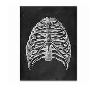 Supkan natomie Humaine œuvre Clinique médicale Mur Photo Squelette organe Muscle système Vintage Toile Impression Corps éducation Affiche(13,30x40cm No Frame)
