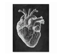 Supkan natomie Humaine œuvre Clinique médicale Mur Photo Squelette organe Muscle système Vintage Toile Impression Corps éducation Affiche(11,20x30CM NO Frame)