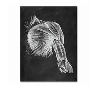 Supkan natomie Humaine œuvre Clinique médicale Mur Photo Squelette organe Muscle système Vintage Toile Impression Corps éducation Affiche(4,20x25cm No Frame)
