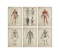 Supkan natomie Impression Affiche Ensemble médical Squelette Corps Humain Muscle Vintage Science éducation Mur Art Photo décoration de la Maison(Set of 6(Discount),5x7in No Frame)