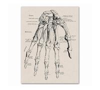 Supkan natomie Squelette Brevet Vintage Affiche Mur Art Impression Toile Peinture Nordique Affiches et Impressions Photos murales for Salon(0491-05,15x20cm No Frame)