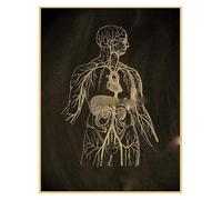 Supkan natomie Tableau Affiche Imprime Parties du Corps Coeur Main Pied Dessin Vintage Maison Chambre Art Mur décor Peinture(12,A4 8.3x11.8inch)