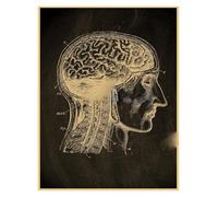 Supkan natomie Tableau Affiche Imprime Parties du Corps Coeur Main Pied Dessin Vintage Maison Chambre Art Mur décor Peinture(3,A3 16.5x11.8inch)