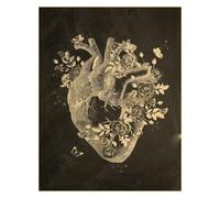 Supkan natomie Tableau Affiche Imprime Parties du Corps Coeur Main Pied Dessin Vintage Maison Chambre Art Mur décor Peinture(14,A3 16.5x11.8inch)