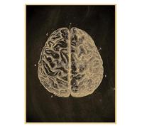 Supkan natomie Tableau Affiche Imprime Parties du Corps Coeur Main Pied Dessin Vintage Maison Chambre Art Mur décor Peinture(6,A4 8.3x11.8inch)