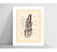 Supkan natomique Pied Humain Impression Vintage Anatomie Art Affiches décor médical Clinique Mur Chirurgien Cadeau Toile Peinture(1,30x42cm No Frame)