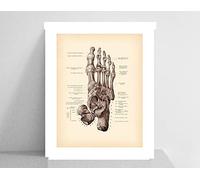 Supkan natomique Pied Humain Impression Vintage Anatomie Art Affiches décor médical Clinique Mur Chirurgien Cadeau Toile Peinture(2,30x42cm No Frame)