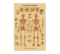 Supkan nglais Allemand français Espagnol Italien Version Anatomy la Structure corporelle Affiche rétro Kraft Papier Salle médicale décoration Murale d'art(3,A3)