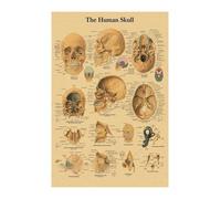 Supkan nglais Allemand français Espagnol Italien Version Anatomy la Structure corporelle Affiche rétro Kraft Papier Salle médicale décoration Murale d'art(16,A4)