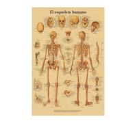 Supkan nglais Allemand français Espagnol Italien Version Anatomy la Structure corporelle Affiche rétro Kraft Papier Salle médicale décoration Murale d'art(4,A3)