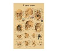 Supkan nglais Allemand français Espagnol Italien Version Anatomy la Structure corporelle Affiche rétro Kraft Papier Salle médicale décoration Murale d'art(20,A4)