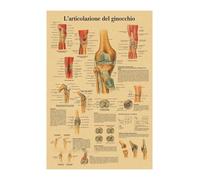 Supkan nglais Allemand français Espagnol Italien Version Anatomy la Structure corporelle Affiche rétro Kraft Papier Salle médicale décoration Murale d'art(30,A3)