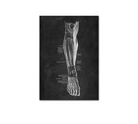 Supkan NTOMIE Humaine ATTROUILLE Mel MEIL PATURE Skeleton ORGLE SYSTÈME DE Muscle Vintage Affiche de l'affiche Impression du Corps Paint(Picture I,15x20cm No Frame)