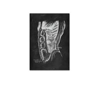 Supkan NTOMIE Humaine ATTROUILLE Mel MEIL PATURE Skeleton ORGLE SYSTÈME DE Muscle Vintage Affiche de l'affiche Impression du Corps Paint(Picture A,15x20cm No Frame)