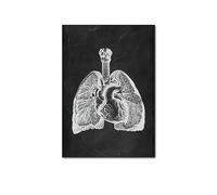 Supkan NTOMIE Humaine ATTROUILLE Mel MEIL PATURE Skeleton ORGLE SYSTÈME DE Muscle Vintage Affiche de l'affiche Impression du Corps Paint(Picture F,15x20cm No Frame)