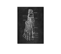 Supkan NTOMIE Humaine ATTROUILLE Mel MEIL PATURE Skeleton ORGLE SYSTÈME DE Muscle Vintage Affiche de l'affiche Impression du Corps Paint(Picture J,15x20cm No Frame)